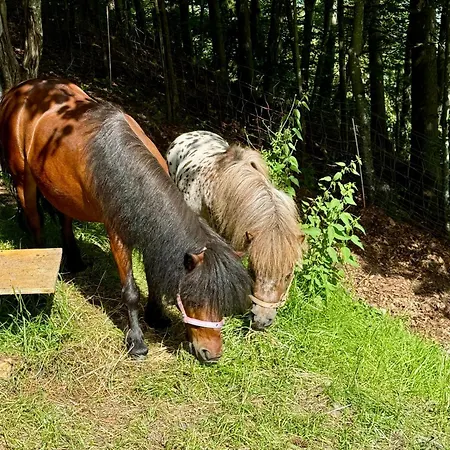 Inn Koca Na Talezu