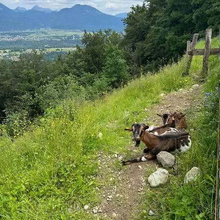 Koca Na Talezu Inn *