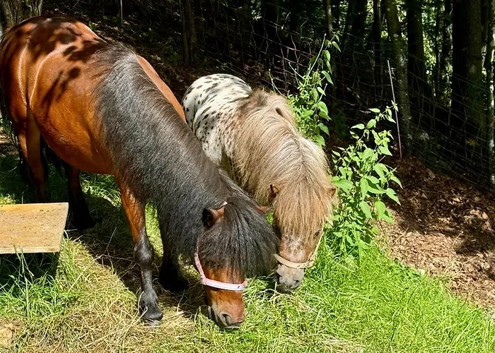 gostionica Koca Na Talezu