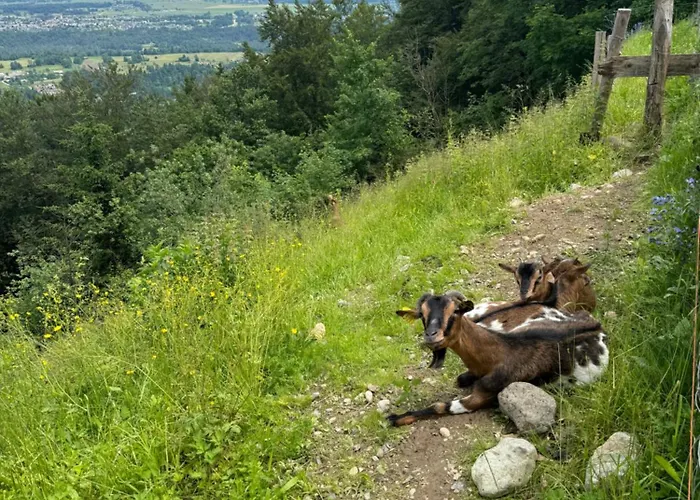 Koca Na Talezu gostionica *